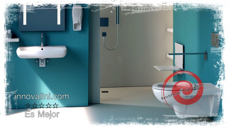 innovalini.com cisterna empotrada wc suspendido reforma de baño barcelona Francis mg-geberit-selnova-hospital-toilet-sigma10-washbasin-790-444
